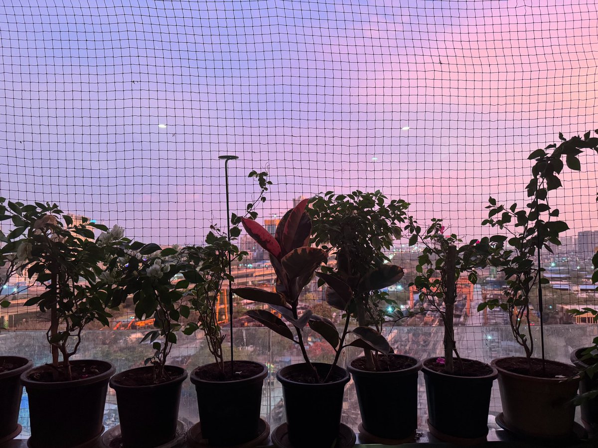 The Mumbai sky from my balcony at 715 pm 🥰