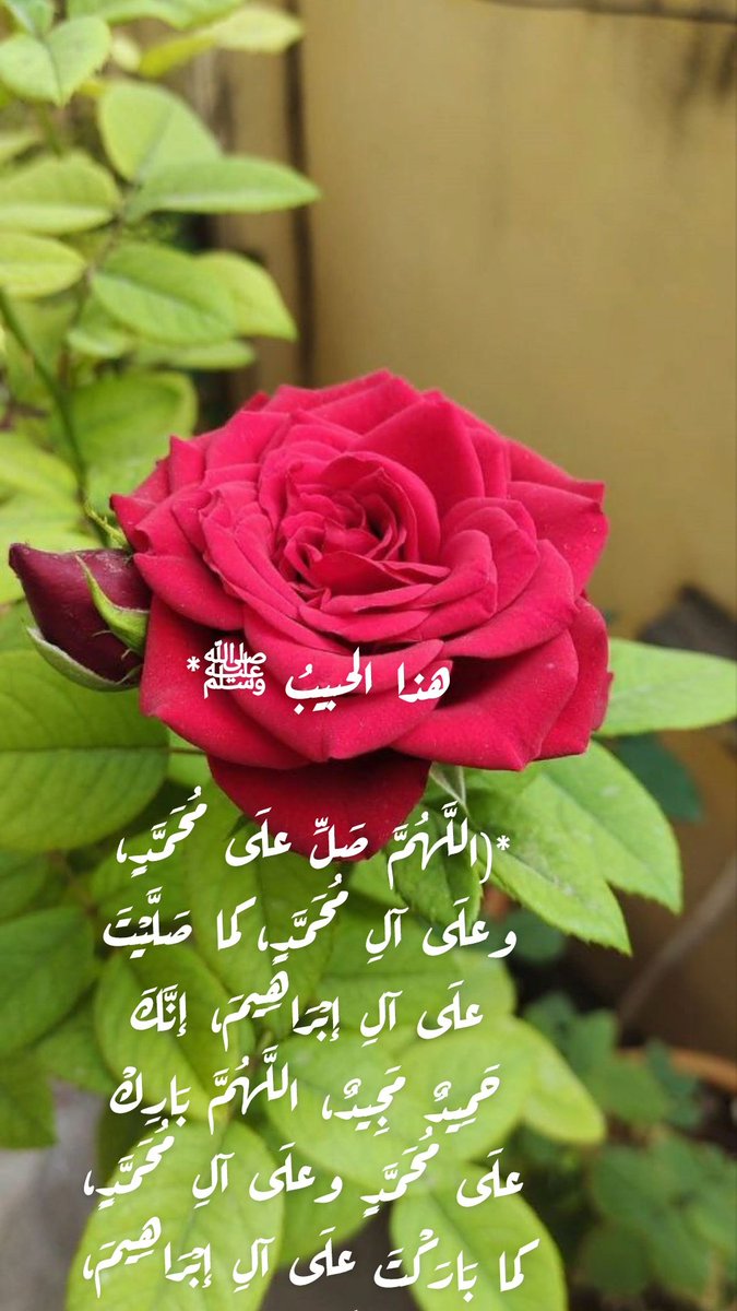 هذا الحبيبُ ﷺ*

*(اللَّهُمَّ صَلِّ علَى مُحَمَّدٍ، وعلَى آلِ مُحَمَّدٍ، كما صَلَّيْتَ علَى آلِ إبْرَاهِيمَ، إنَّكَ حَمِيدٌ مَجِيدٌ، اللَّهُمَّ بَارِكْ علَى مُحَمَّدٍ وعلَى آلِ مُحَمَّدٍ، كما بَارَكْتَ علَى آلِ إبْرَاهِيمَ، إنَّكَ حَمِيدٌ مَجِيدٌ)*

🌸   ﷺ 🌸
#جمعه_مباركه