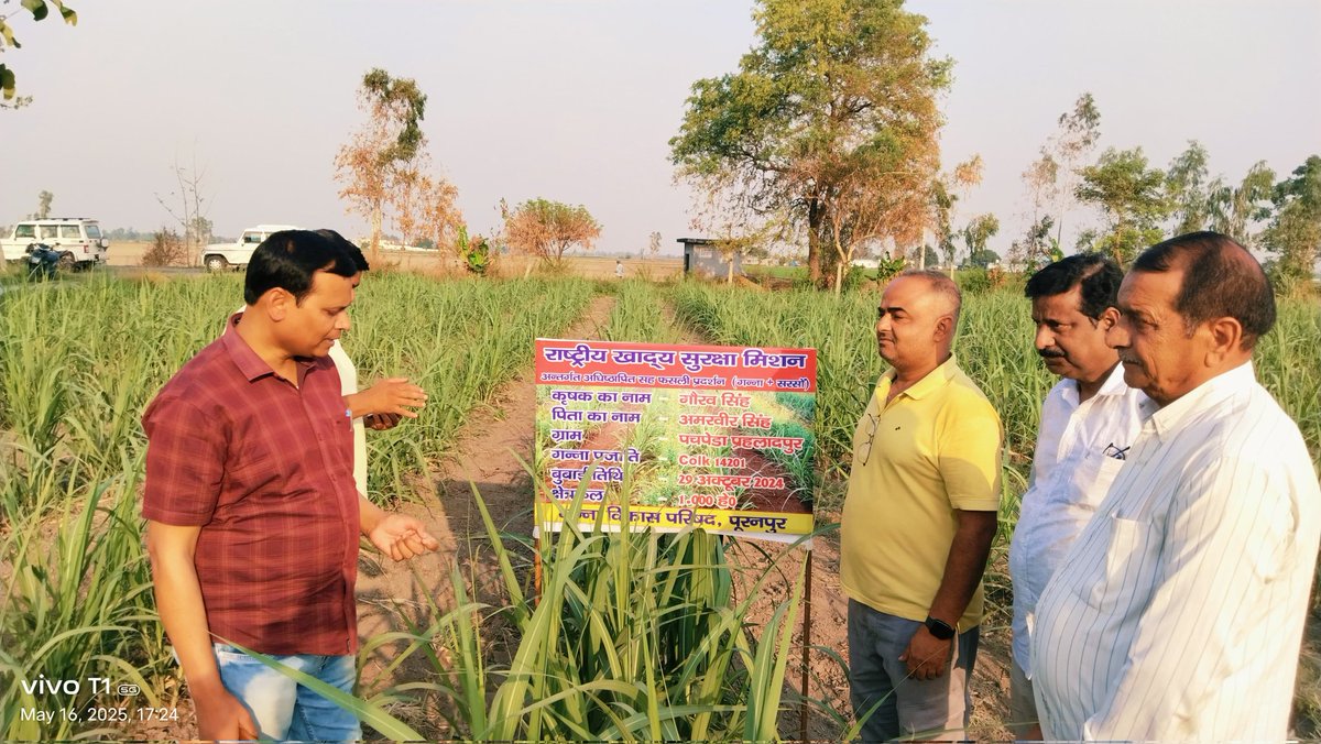ग्राम पचपेड़ा पूरनपुर पीलीभीत मे कृषक प्रक्षेत्र भ्रमण l <a href="/UPCane/">Cane Development UP</a> <a href="/Scdi_Bisalpur/">SCDI BISALPUR</a> <a href="/ScdiPuranpur/">SCDI Puranpur Sanjay Srivastava</a> <a href="/SCDIBarkheda/">SCDI BARKHERA</a> <a href="/scdipilibhit/">Scdipilibhit</a> <a href="/PilibhitSachiv/">Sachiv Pilibhit</a>