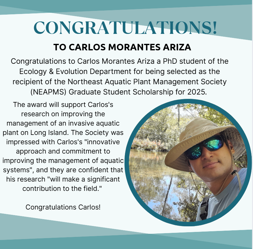Congratulations to Carlos Morantes Ariza! 🌿🧪
Carlos, a PhD student in Ecology &amp; Evolution, was awarded the NEAPMS Graduate Student Scholarship for his innovative research on managing invasive aquatic plants on Long Island.  #GraduateResearch #NEAPMS2025 #AquaticEcology