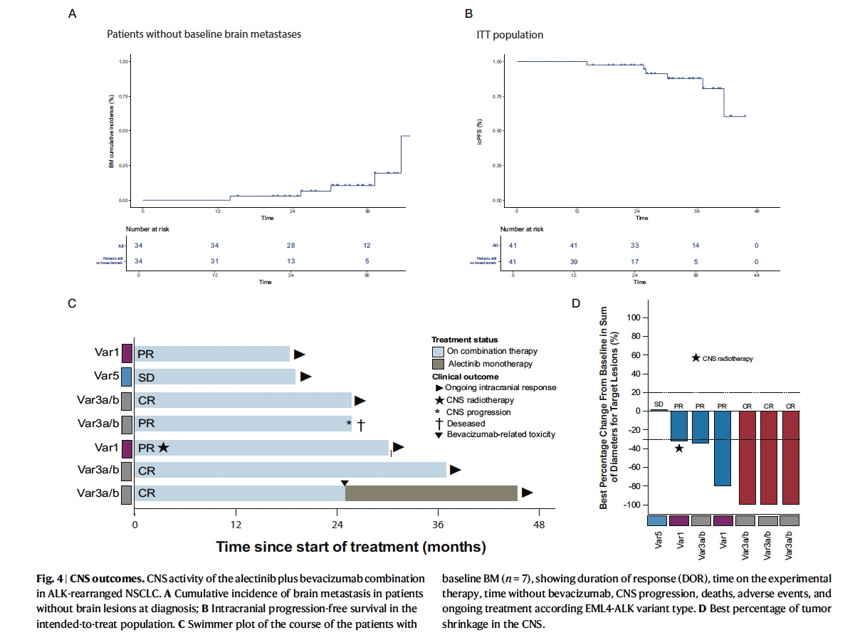 LuisLara_M's tweet image. Proud to share our new publication in @NatureComms , led by @ogarrieta  and an extraordinary team effort @incanMX .

Alectinib + bevacizumab as 1L therapy in metastatic ALK+ NSCLC 🫁:
🔹 ORR: 100%
🔹 12 &amp;amp; 36 month PFS: 97% &amp;amp; 64.2%
🔹 36-month intracranial PFS: 87.8%
👉While not…