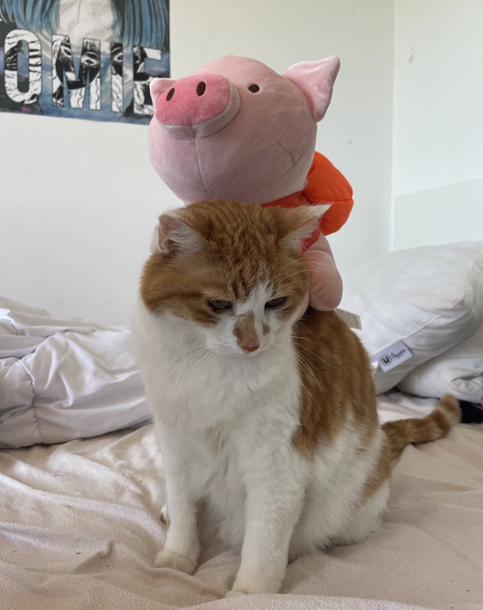 popo et son copain