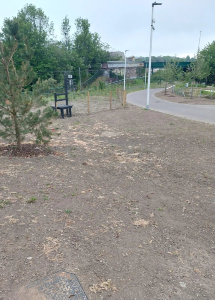 Cockburn Association (The Edinburgh Civic Trust) (@thecockburn) on Twitter photo Trees in community park left unwatered after council invests £17m into project deadlinenews.co.uk/2025/05/16/tre… via <a href="/deadlinenews/">Deadline News</a> Trees in community park left unwatered after council invests £17m into project deadlinenews.co.uk/2025/05/16/tre… via <a href="/deadlinenews/">Deadline News</a>
