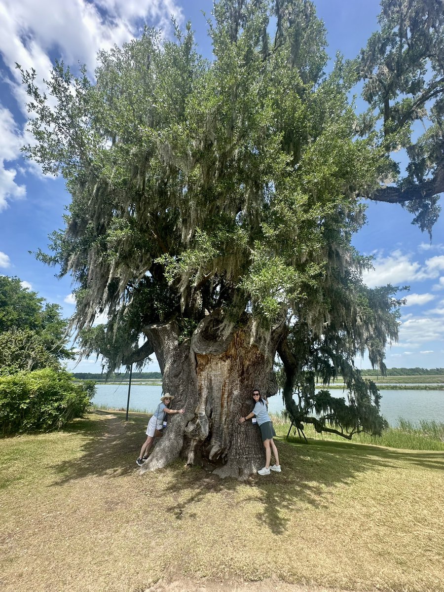 Cecilia Johnson (@cecilia_brown7) on Twitter photo Reflecting on an incredible 36th Annual <a href="/TOCAorg/">Turf and Ornamental Communicators Association</a> meeting in Charleston. Proud to serve on the TOCA Board of Directors, help plan this year’s event, moderate the Behind the Sod panel and celebrate my <a href="/SodSolutions/">Sod Solutions</a> team’s 13 communication awards! #TOCA2025 Reflecting on an incredible 36th Annual <a href="/TOCAorg/">Turf and Ornamental Communicators Association</a> meeting in Charleston. Proud to serve on the TOCA Board of Directors, help plan this year’s event, moderate the Behind the Sod panel and celebrate my <a href="/SodSolutions/">Sod Solutions</a> team’s 13 communication awards! #TOCA2025