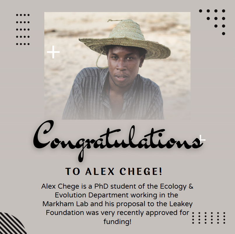 Big congratulations to Alex Chege! 🎉
Alex, a PhD student in the Ecology &amp; Evolution Department, recently secured funding from the Leakey Foundation for his research with the Markham Lab. Excited to see where this work leads! #ResearchFunding #PhDResearch #StonyBrookEvolution