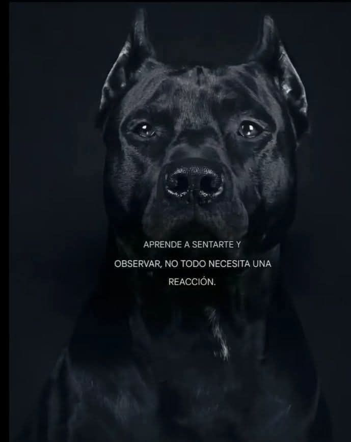 No todo necesita.