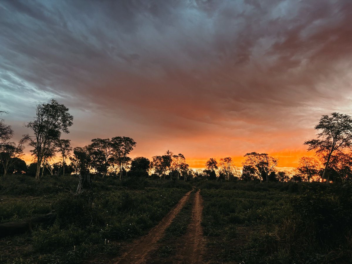📍Boabab Hill - Pafuri