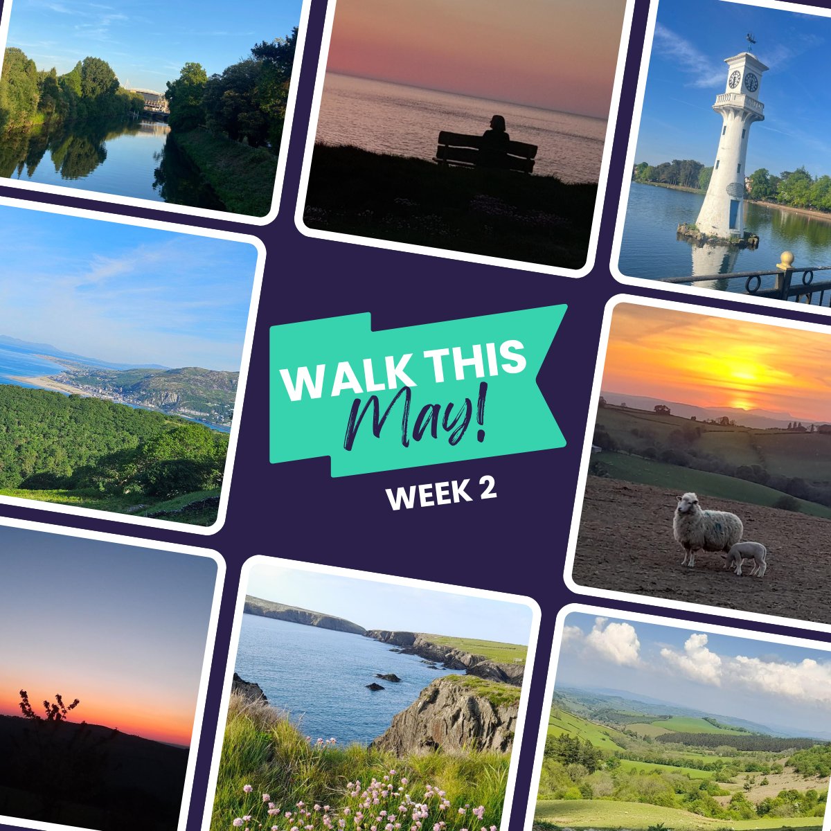 Wrapping up week two of #WalkThisMay, we are making the most of the beautiful scenery we have on our doorstep in Wales! 🌄

So far this month #TeamCartrefi has walked an impressive 1762.5 km, that's equivalent to walking from Cardiff to Barcelona! 

Great job, everyone!👏