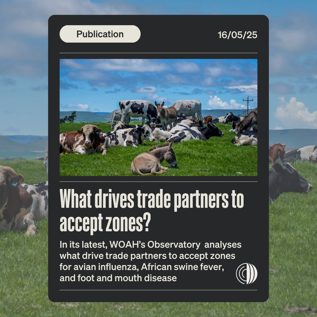 World Organisation for Animal Health (@woah) on Twitter photo When a disease outbreak hits, how do countries decide whether to keep trade flowing or close their borders?
Zoning is a vital tool that helps veterinary authorities contain disease outbreaks without bringing international trade to a standstill. But the decision to accept a zone When a disease outbreak hits, how do countries decide whether to keep trade flowing or close their borders?
Zoning is a vital tool that helps veterinary authorities contain disease outbreaks without bringing international trade to a standstill. But the decision to accept a zone