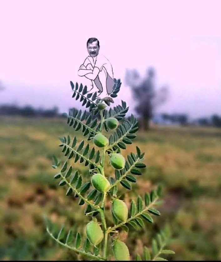 ArunKosli's tweet photo. अब ये कौन किया 

#केजू_की_MKB https://t.co/Bj4hLZgIWD