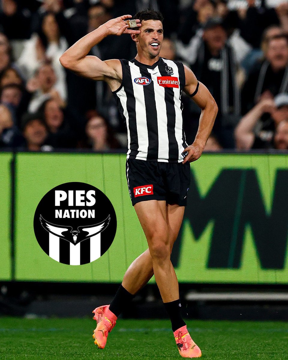 PiesNation tweet media