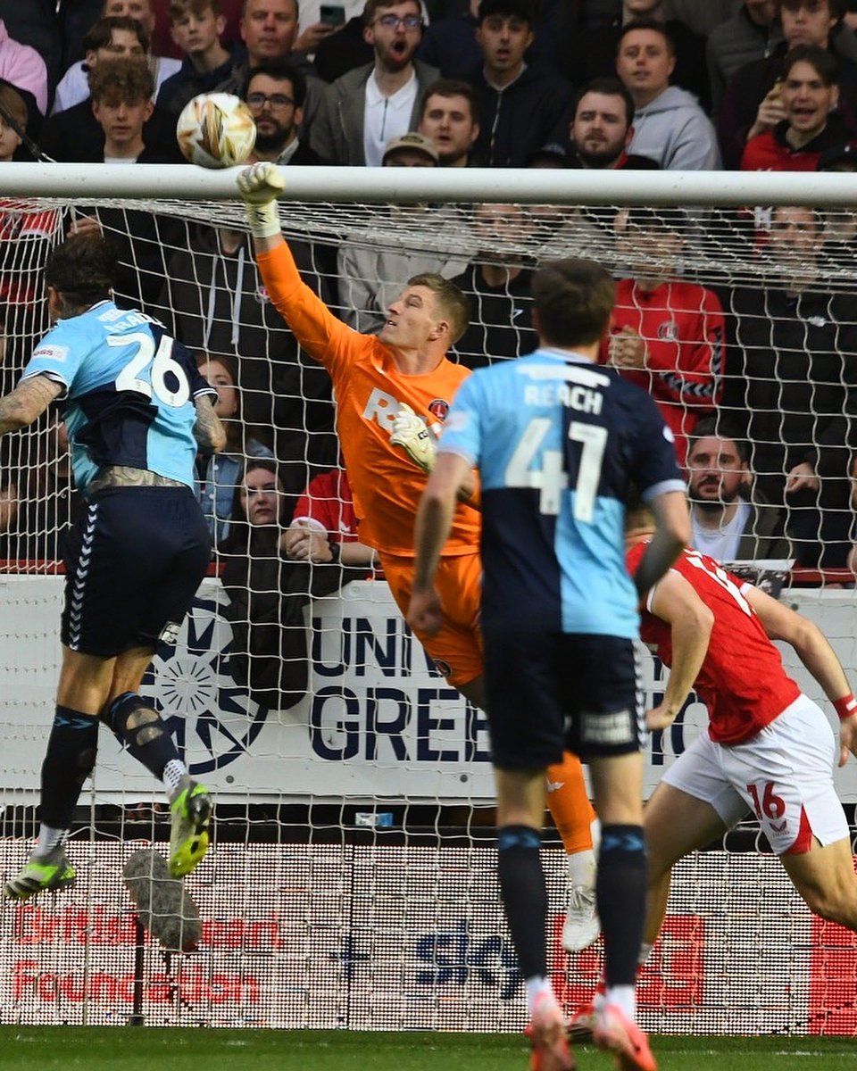 Will Mannion tweet media