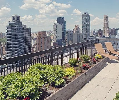 Good morning New York