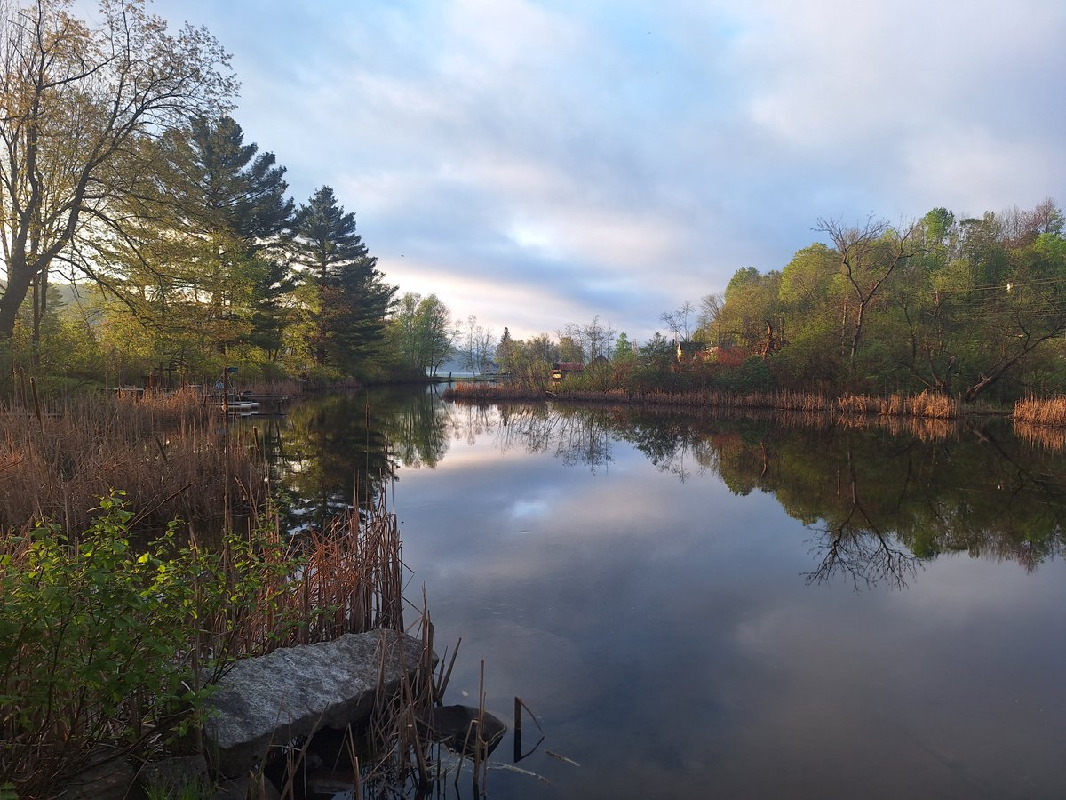 Good morning from the Northeast Kingdom. Can you just hear the birds!? Such a loud chorus this morning. 
<a href="/VTStateParks/">Vermont State Parks</a> #crystallake #vt #northeastkingdom #birding