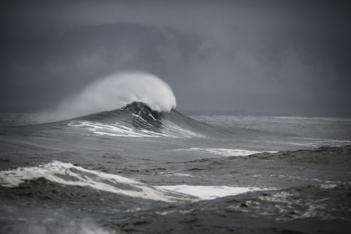 _EFarrellPhoto's tweet image. Alone and Bold. #cosligo #ireland