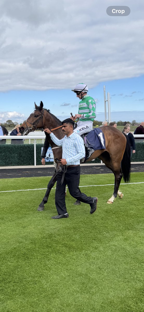 Good luck to all Gallopers heading up to ⁦<a href="/HamiltonParkRC/">Hamilton Park</a>⁩  to support MAFTING tonight