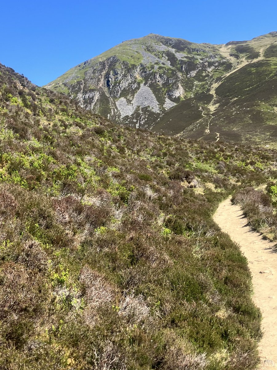 Scotland, you’re spoiling us (several weeks of this now!)
🏴󠁧󠁢󠁳󠁣󠁴󠁿🌞🏔️