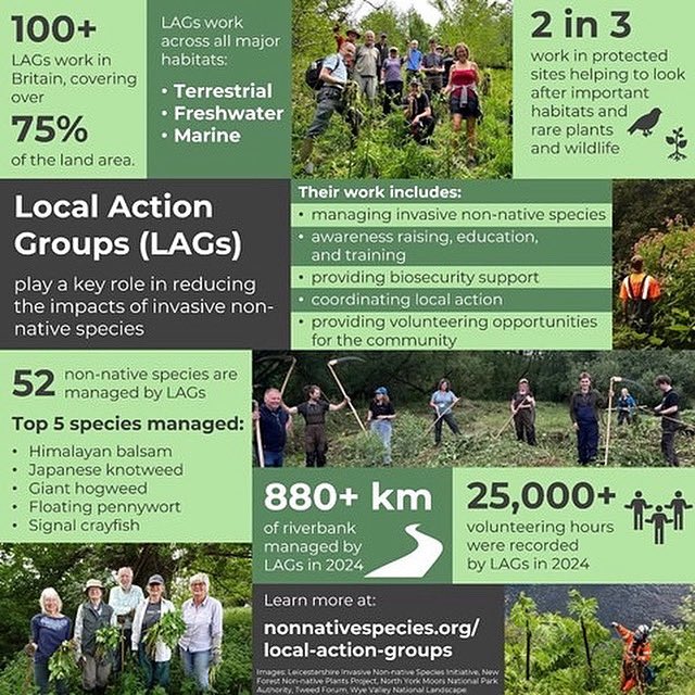 Day 5: Invasive Species Week

Thank you to Local Action Groups (LAGs) 👏🤝🫶with numerous volunteers working on invasive species management.

#education #pond #Rangers #nonnative #animal #public #rehomenotrelease #pets #research #plants #lake #river #invasive