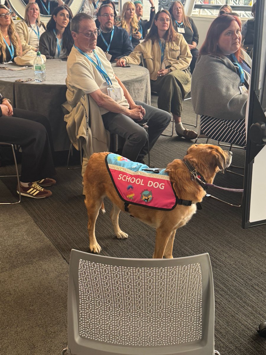 11:00 -12:00 Pawsitive Learning: The Potential Power of Dogs in Early Education 
With Dr Helen Lewis, Associate Professor of Education - Swansea University