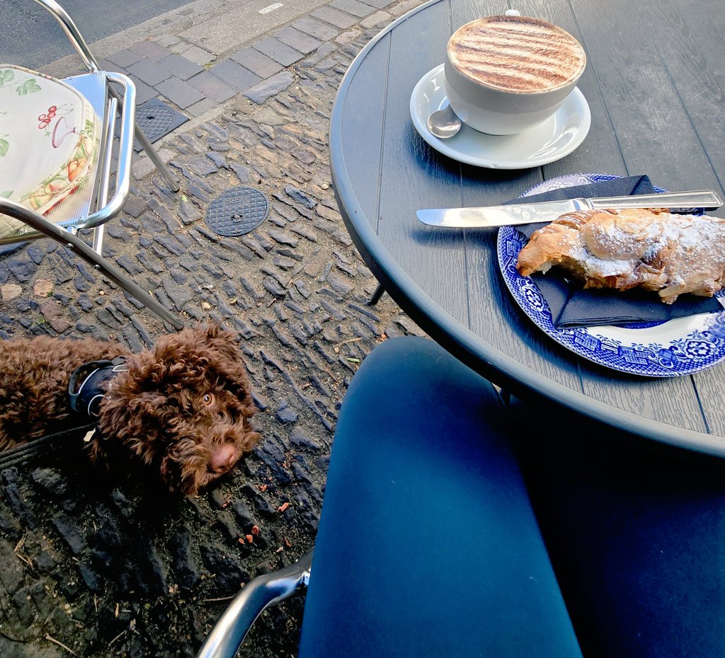 Leisurely al fresco Friday coffee and croissant with the pooch. 🥐☕️🐕