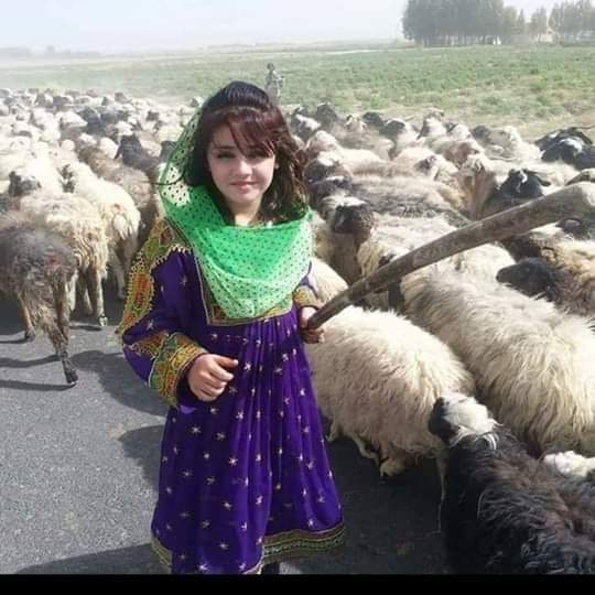 its_Ghazalahs's tweet photo. #GPG
@Ghz97 @m81mh @Lub_03
@Ozlerntr @5kshf @Ghz79
@Qs3488 @bnte_ @PK50K
@TSC143_ @_jutt_sab
@florchicana @6kshf
@AhemedCaptain
@__Libra1
@cknlaw1
@F4FB2U
@Aashi5_
@glmsjd
@Triq25
@MIG9T
@1GPTI
@1lsura
@Hfz48
@1Aara_
@Fat9T
@40ucx @_1rha
@1fazl2 @1iA_4 @1PTI_
@_1gul @m80mh @Ghz21 https://t.co/FgIrqqFufc