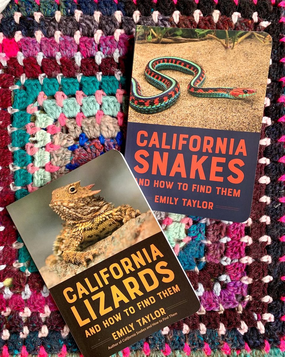 Lainitaylor's tweet image. My sis just dropped her 2nd book &amp;amp; I&apos;m SO proud!  Dr. Emily Taylor&apos;s latest is a fun, expert guide to CA lizards! From Komodo dragons to rattlesnake rookeries, she&apos;s got the scoop.  Check it out! #Herpetology #NatureLovers #BookLovers&quot;