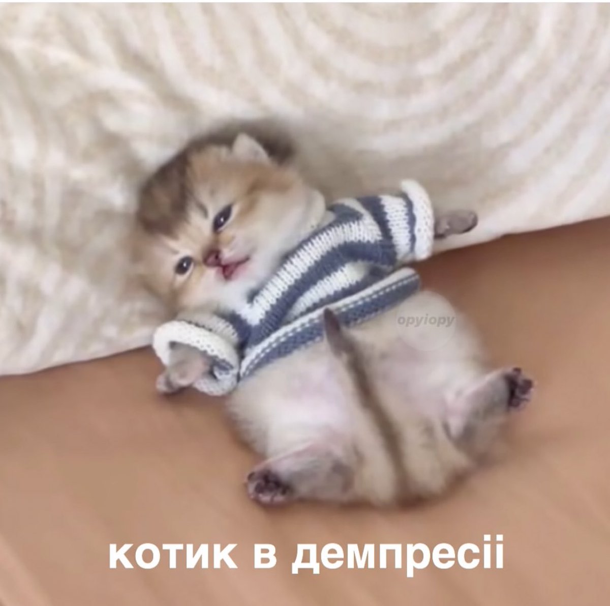 AnanassTW's tweet photo. @boluqx Привет! Да как то пытаюсь жить эту жизнь. А ты? https://t.co/Yq9740BPlw