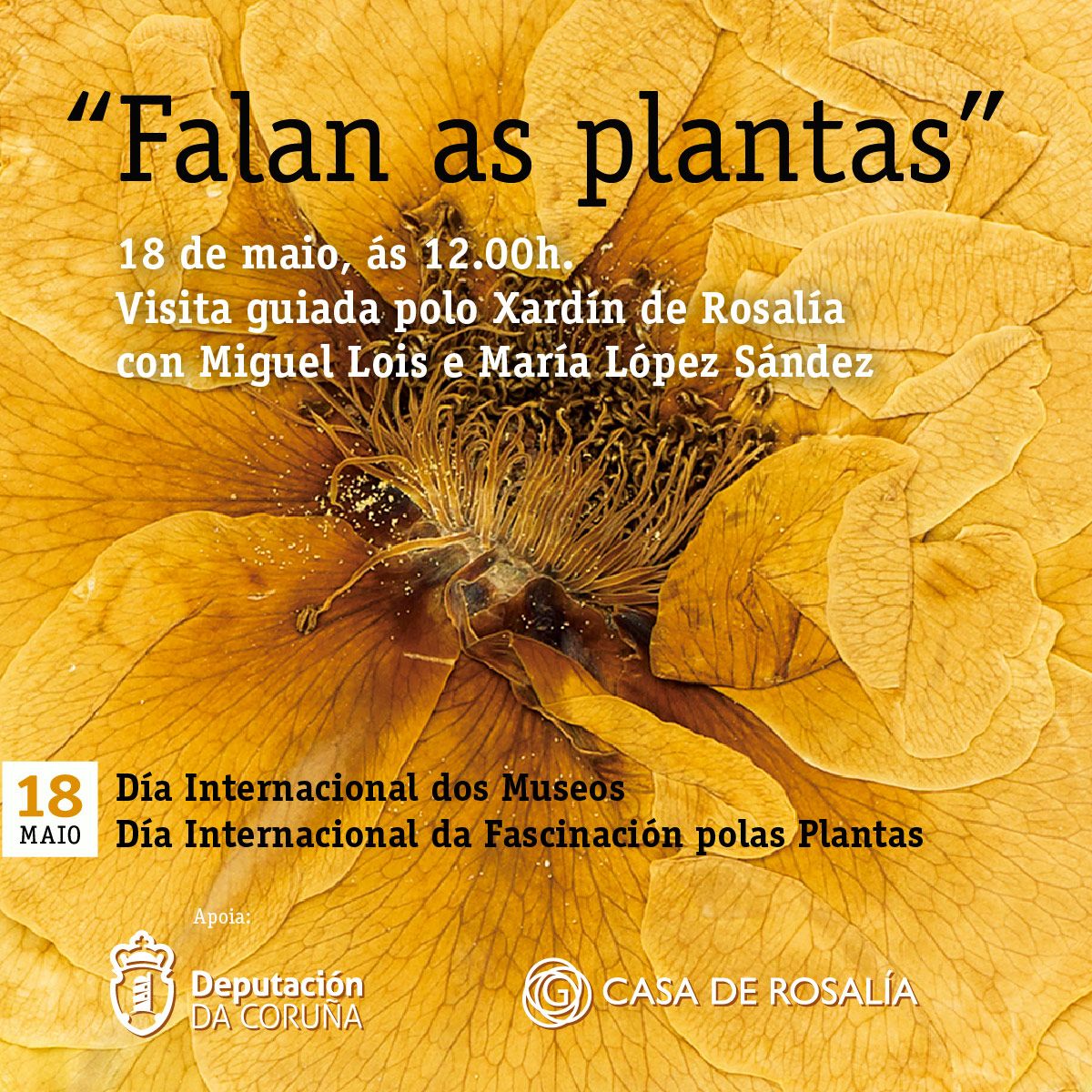 AELG (@aelg) on Twitter photo Padrón: visita guiada polo Xardín de Rosalía “Falan as plantas”, guiado por Miguel Lois e María López Sández: axendacultural.aelg.gal/2025/05/16/pad… <a href="/CasadeRosalia/">Casa de Rosalía</a> <a href="/mlsandez/">María López Sández</a> Padrón: visita guiada polo Xardín de Rosalía “Falan as plantas”, guiado por Miguel Lois e María López Sández: axendacultural.aelg.gal/2025/05/16/pad… <a href="/CasadeRosalia/">Casa de Rosalía</a> <a href="/mlsandez/">María López Sández</a>