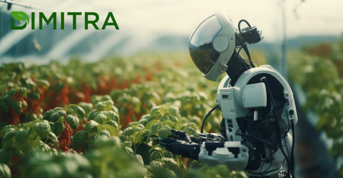 1/
Dimitra is quietly building one of the most real-world connected use cases in Web3.

Millions of farmers. AI services. Government contracts.

And at the center of it all: $DMTR.

COO Diego Costa just broke it down. Here''s the alpha:🧵⬇️