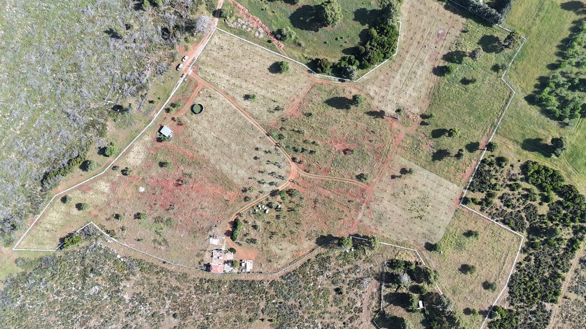 🌿 Agios Georgios-Mandra Living Hub in Attica, Greece. A key INNO4CFIs site piloting #CarbonFarming, afforestation &amp; agroforestry to boost biodiversity #Agroforestry #I3Instrument