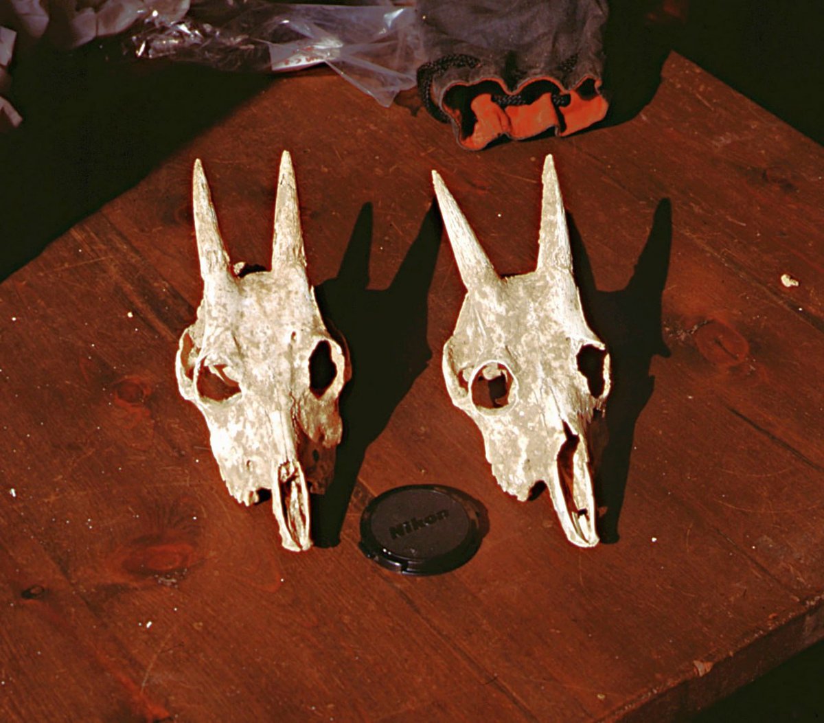 Jesús J. Jurado 💜🔻 tweet media