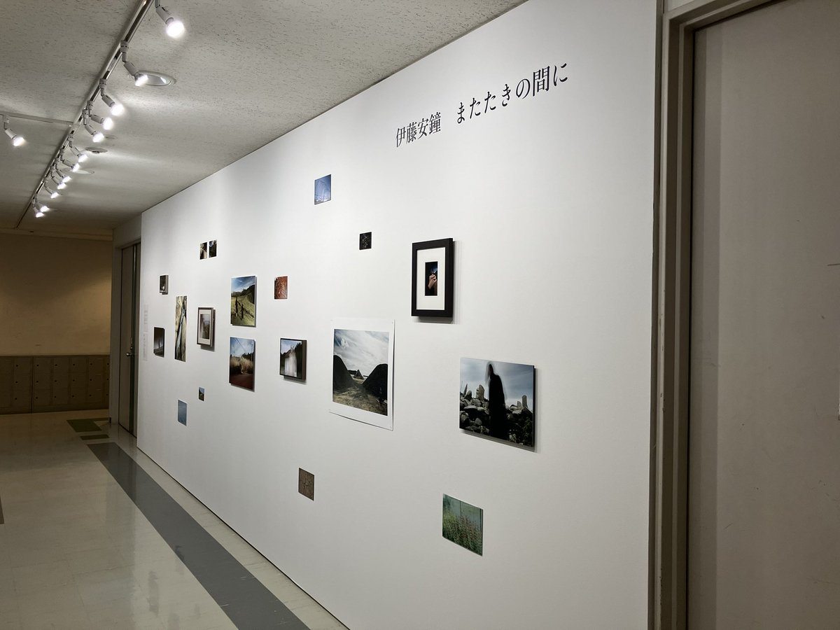 a_bell_ringer's tweet photo. 【展示】武蔵野美術大学12号館5階の廊下で新作を展示しています。
月-土 9:00-18:00、5/23の午前中くらいまで観れます。よろしくお願いします。 https://t.co/muMuQkyGR9