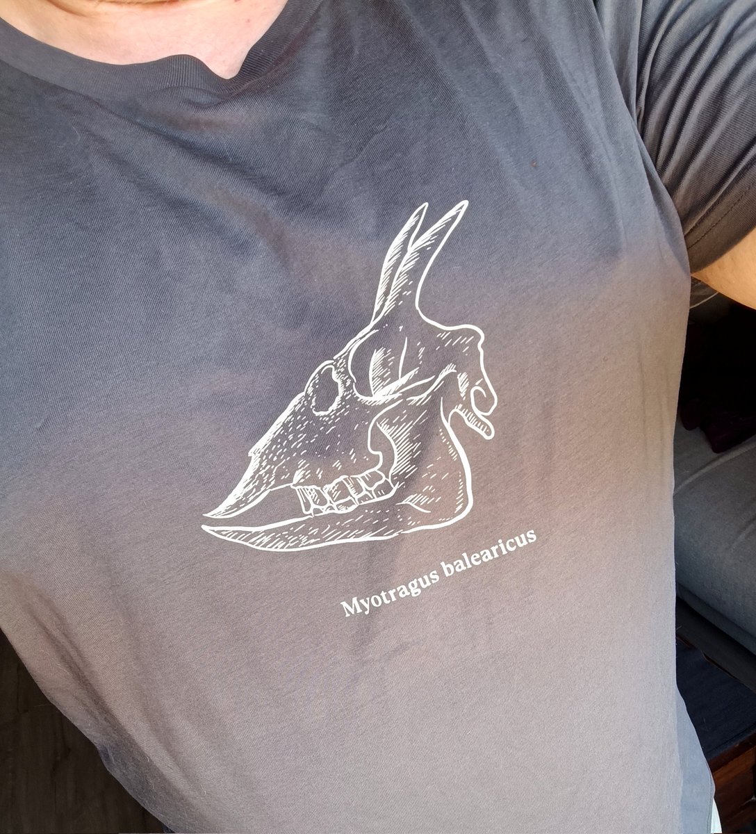 Jesús J. Jurado 💜🔻 tweet media