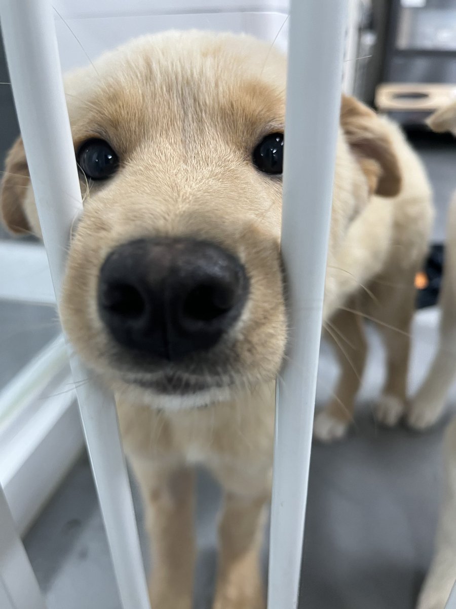 #가족찾는버터
우리 옴마.. 여기 이떠여 ?