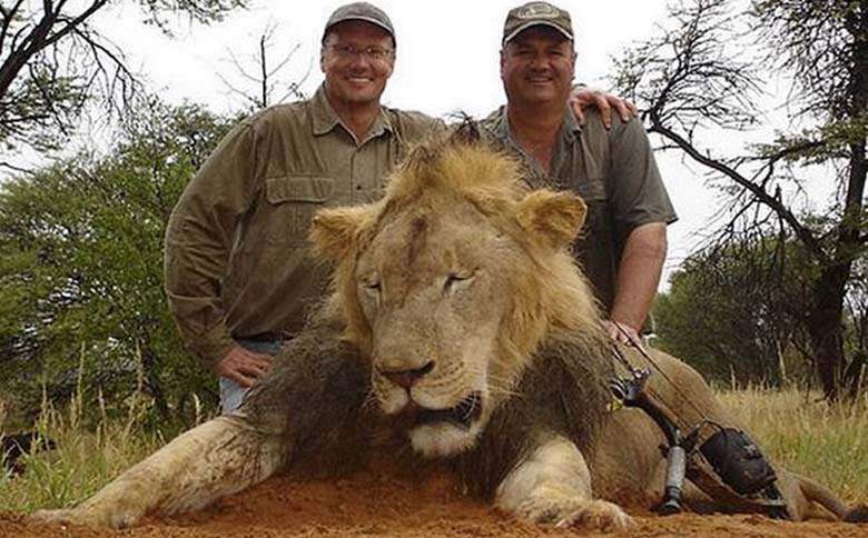 ChrisSand20's tweet photo. #Cecil 🦁 #Dentist 💥
#Palmer
That happened at the very beginning of my social media activities. I still remember it very well.
#OutcryAgainstTrophyHunting
#BanTrophyHunting worldwide
#Elephants #Lion
#EndOfTheGame
#RememberCecil
#EndangeredSpeciesDay https://t.co/q1wWJlUbsz