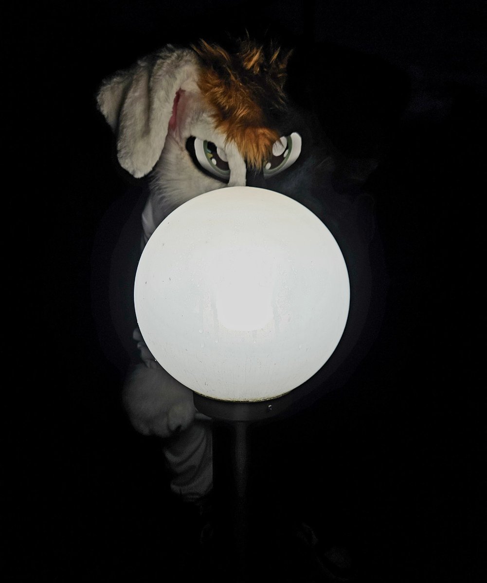 Moth Meme with <a href="/ShampoooBWDog/">Shampooo🤍🖤</a>
#FursuitFriday
#FW25