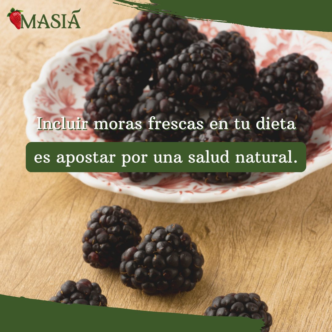 Masiá Ciscar tweet media