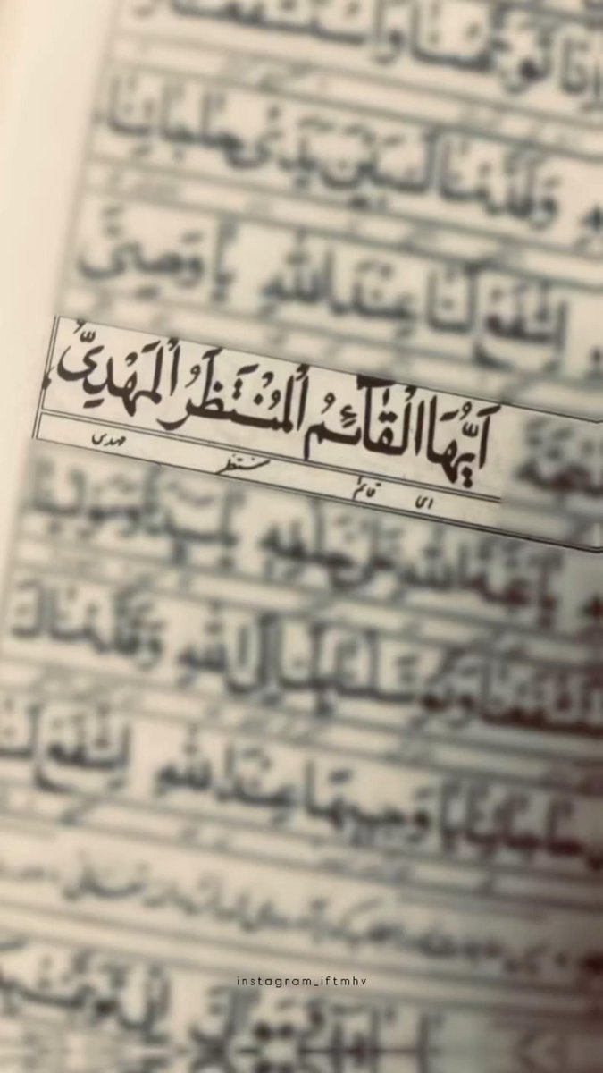 واله 🌺 tweet media