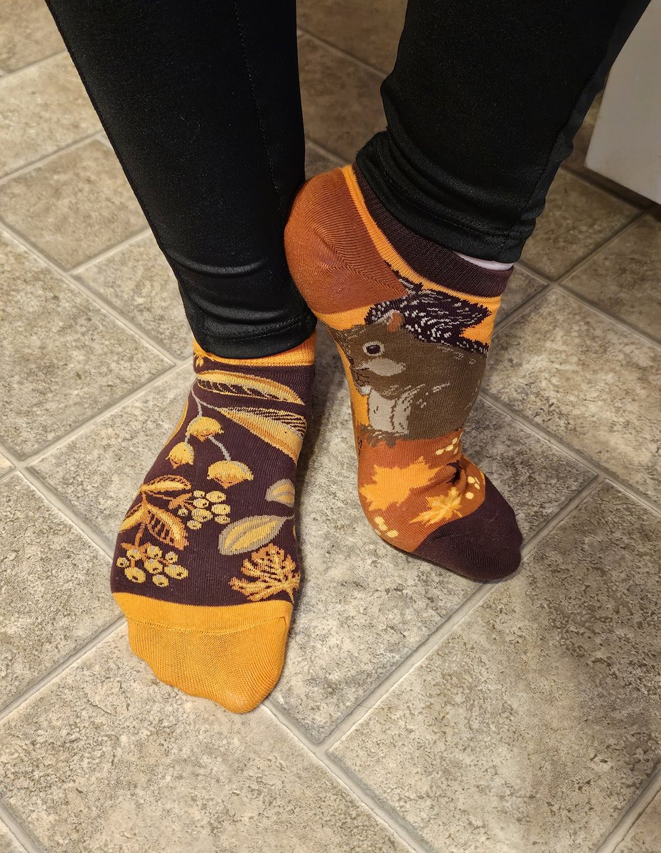 Honey🇨🇦 tweet media