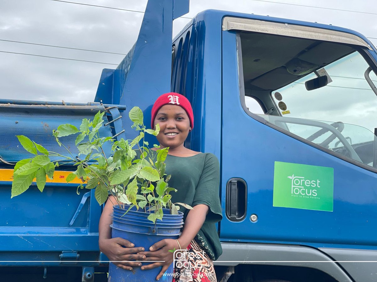 A smile that says hope 🌿 In her hands are seedlings of Markhamia lutea, trees known for their power to conserve the environment. These trees play a key role in restoring degraded land, improving soil quality, and protecting water sources.

Once planted, they will help prevent