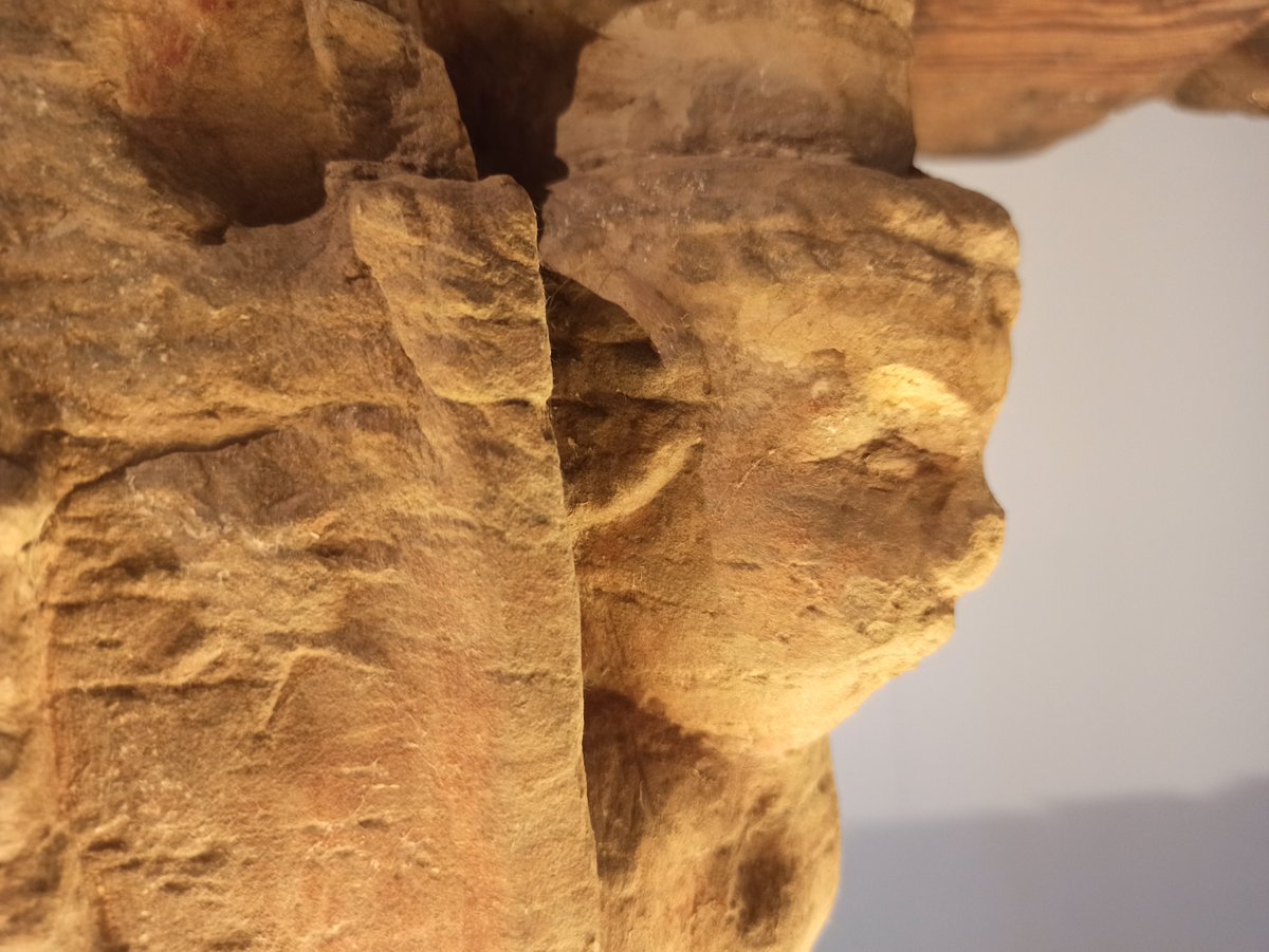 Museo Comarcal de Daimiel tweet media