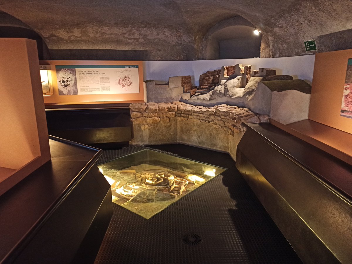 Museo Comarcal de Daimiel tweet media