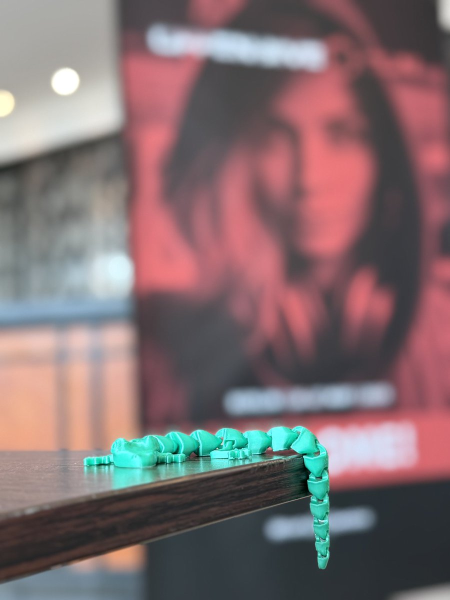 The geckos printed by MakerLab <a href="/IFG_Goias/">IFG</a> invaded the <a href="/offensive_con/">offensivecon</a>!!! Thanks guys for the challenge, it was fun! 💚