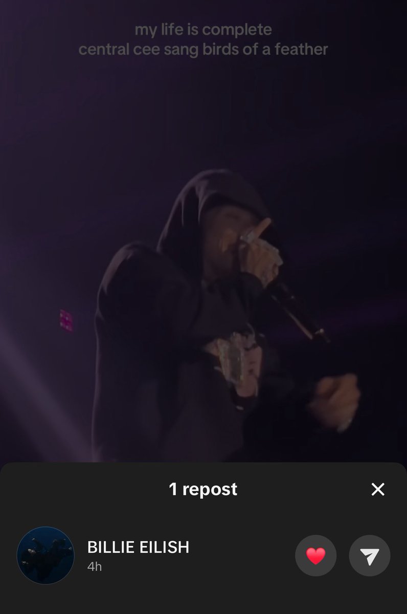 BillieSociety's tweet photo. Billie has reposted a video on tiktok of Central Cee singing BIRDS OF A FEATHER! ⭐️ https://t.co/icCaVlowuG