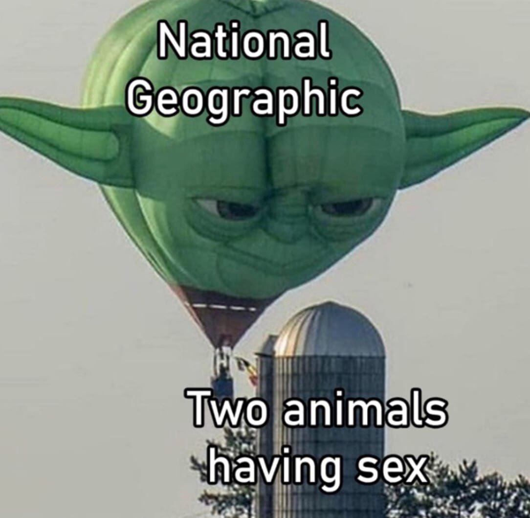 GrENR9aXoAA6aoL