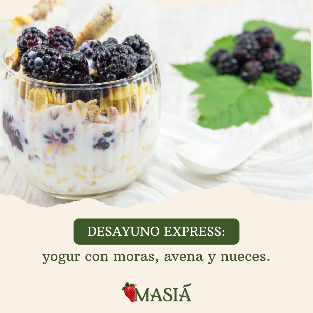 Masiá Ciscar tweet media