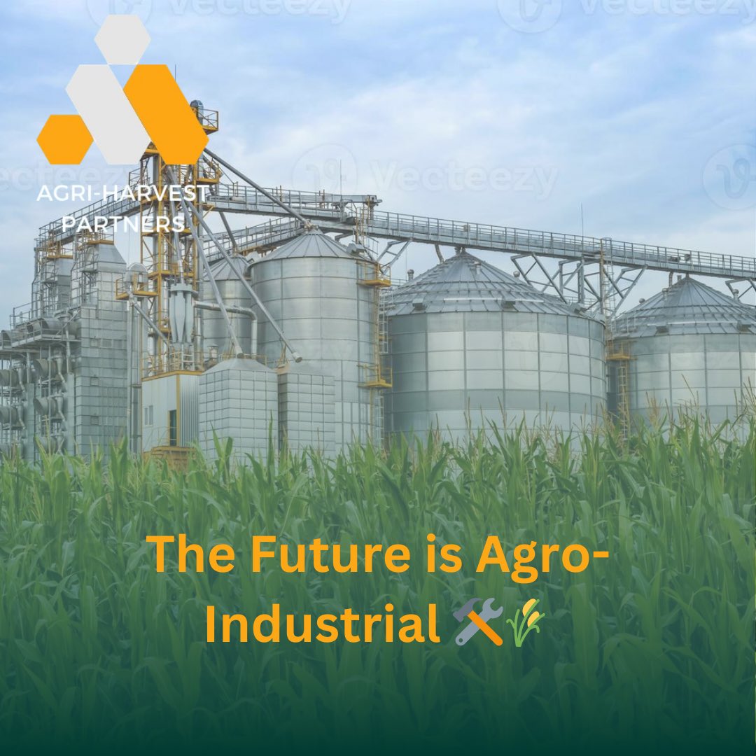 AgriHarvest_zw's tweet photo. Farming alone won’t transform Zimbabwe. Processing, value addition, and market integration will. That’s why our partnerships go beyond planting to create entire value chains.
#BuildTheChain #AgriHarvest #BeyondFarming #agriculture #export https://t.co/cM0IClGq9w