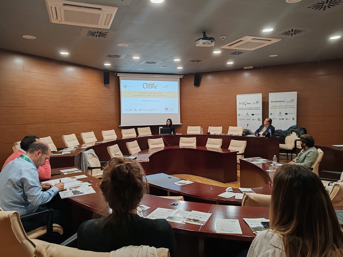 Cooperativas Agro-alimentarias de Andalucía (@coopsagroand) on Twitter photo 🔝¡El Grupo Operativo #OliVAr, presente en <a href="/ExpolivaOficial/">Expoliva 2025</a> !
📄En el simposio científico técnico del evento se ha expuesto un póster y se han explicado los objetivos y los avances del proyecto.
<a href="/FundacionAyesa/">FundacionAyesa</a> <a href="/LoyolaAnd/">Universidad Loyola</a> <a href="/opracolsev/">OPRACOL Sevilla</a> #CoopsAgroAND #ExpolivaJaén #Expoliva2025 🔝¡El Grupo Operativo #OliVAr, presente en <a href="/ExpolivaOficial/">Expoliva 2025</a> !
📄En el simposio científico técnico del evento se ha expuesto un póster y se han explicado los objetivos y los avances del proyecto.
<a href="/FundacionAyesa/">FundacionAyesa</a> <a href="/LoyolaAnd/">Universidad Loyola</a> <a href="/opracolsev/">OPRACOL Sevilla</a> #CoopsAgroAND #ExpolivaJaén #Expoliva2025