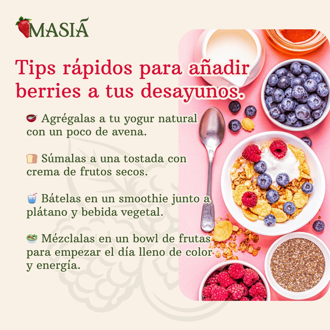 Masiá Ciscar tweet media