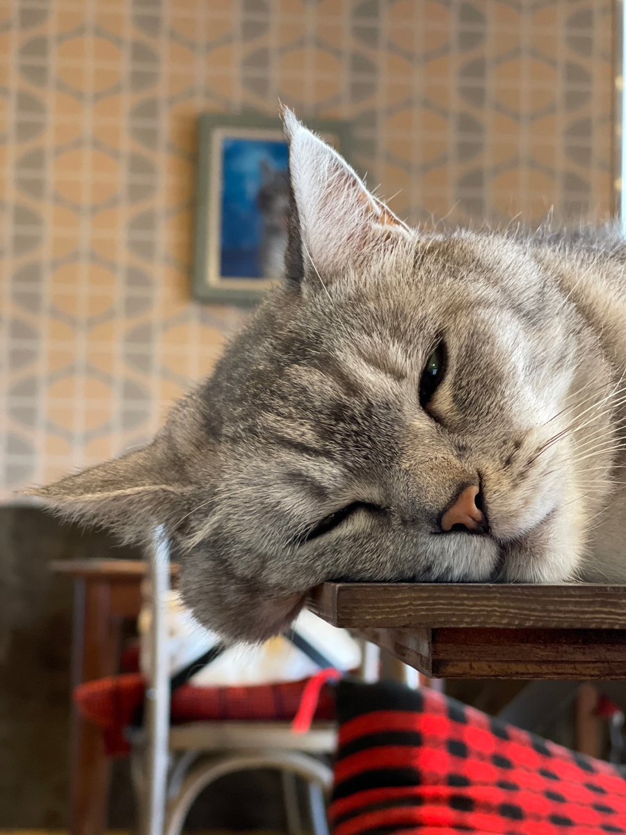 ちょっと溶けかけてる